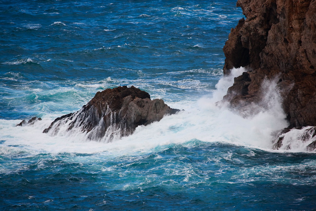 La Revellata, Calvi